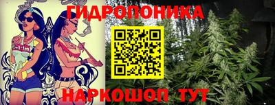 крисы Заволжье