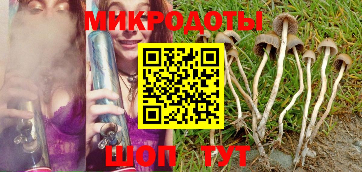 Псилоцибиновые грибы мицелий  Галлюциногенные грибы GOLDEN TEACHER  Людиново  Вход с VPN 